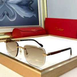Picture of Cartier Sunglasses _SKUfw79616053fw